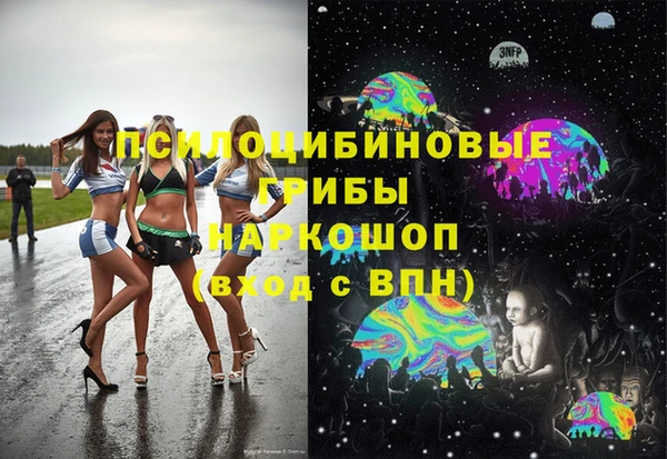 эйфоретик Алзамай