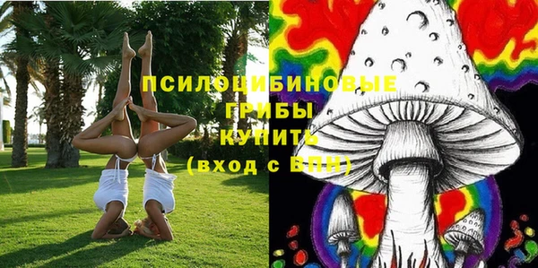 дмт Алексин