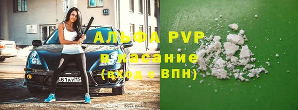 эйфоретик Алзамай