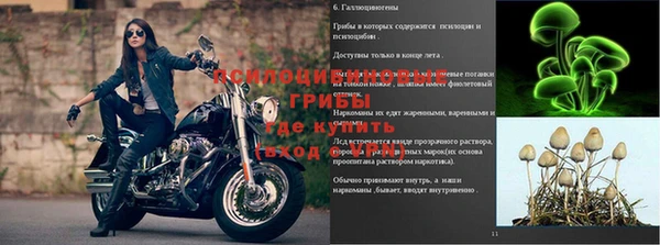 дмт Алексин